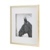 Set of 2 Wall Art Horse Animal Printing, Wall Decor Accent, 22" x 22"