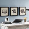 3-piece Framed Wall Art Set